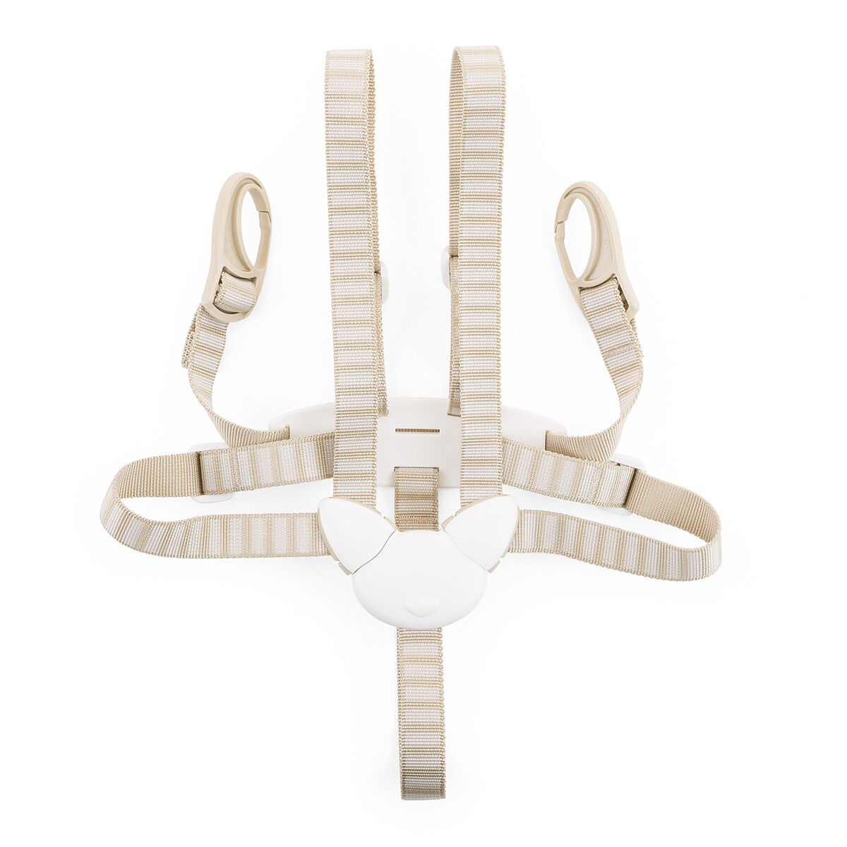 5-Point-Harness